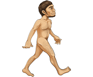 Homo erectus, utilización de herramientas y fuego Juego