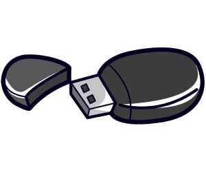 Memoria USB, almacenamiento de datos Juego