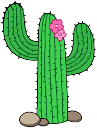 Cactus del desierto de Sonora, el saguaro Juego