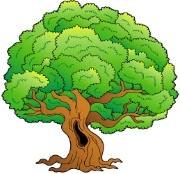 Vieja encina, árbol de hoja perenne Juego