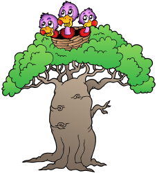 Baobab, árbol de Africa, Asia y Australia Juego