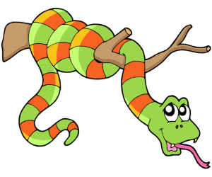 Boa constrictora, gran serpiente no venenosa Juego