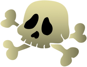 Cráneo humano con otros huesos del esqueleto Juego