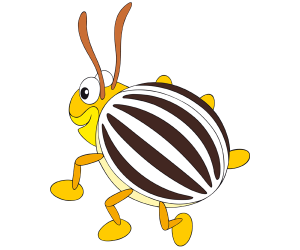 El escarabajo de la patata, un escarabajo rayado Juego