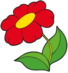 Gerbera roja, flor ornamental Juego