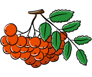 Las bayas anaranjadas de un árbol en otoño Juego