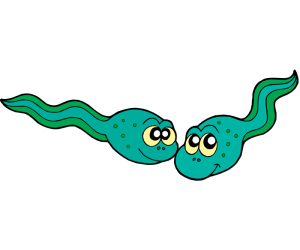 Renacuajos, la fase larvaria de un anfibio Juego