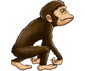 Un primate homínido, el antepasado común Juego