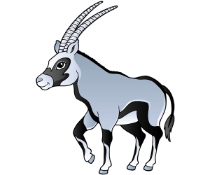 Órice de El Cabo, gran antílope, Oryx gazella Juego
